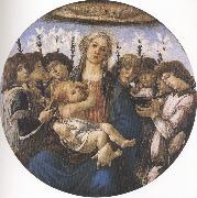 Sandro Botticelli Madonna and Child with eight Angels or Raczinskj Tondo (mk36) Sweden oil painting artist